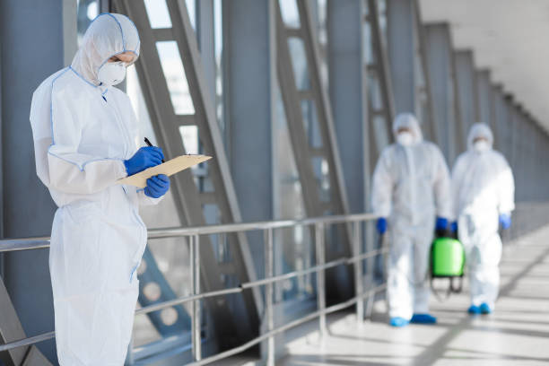 Best Airborne Mold Testing  in Punta Rassa, FL