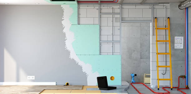 Best Basement Mold Removal  in Punta Rassa, FL