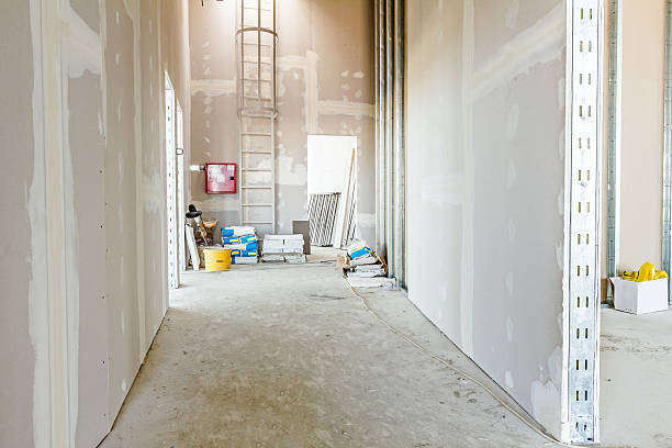 Best Attic Mold Removal  in Punta Rassa, FL