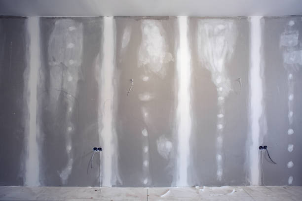 Best Mold Damage Restoration  in Punta Rassa, FL